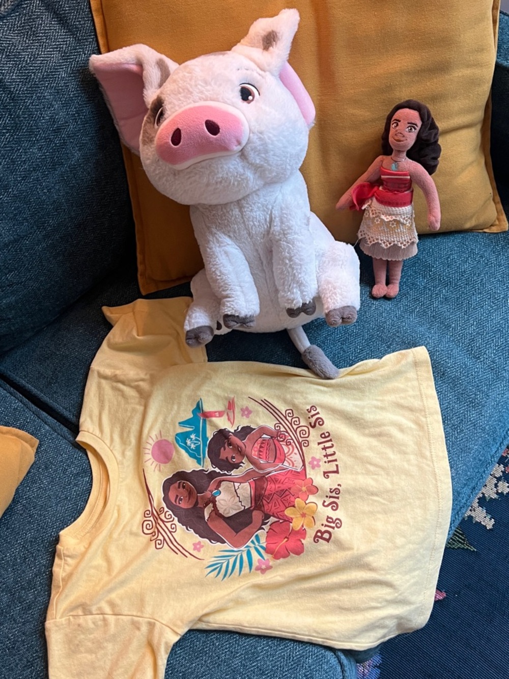 Disney Moana 2 size 4/5 « Big sis Lil sis » Pua and Moana doll 3 item gift set
